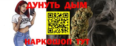 спиды Дубна