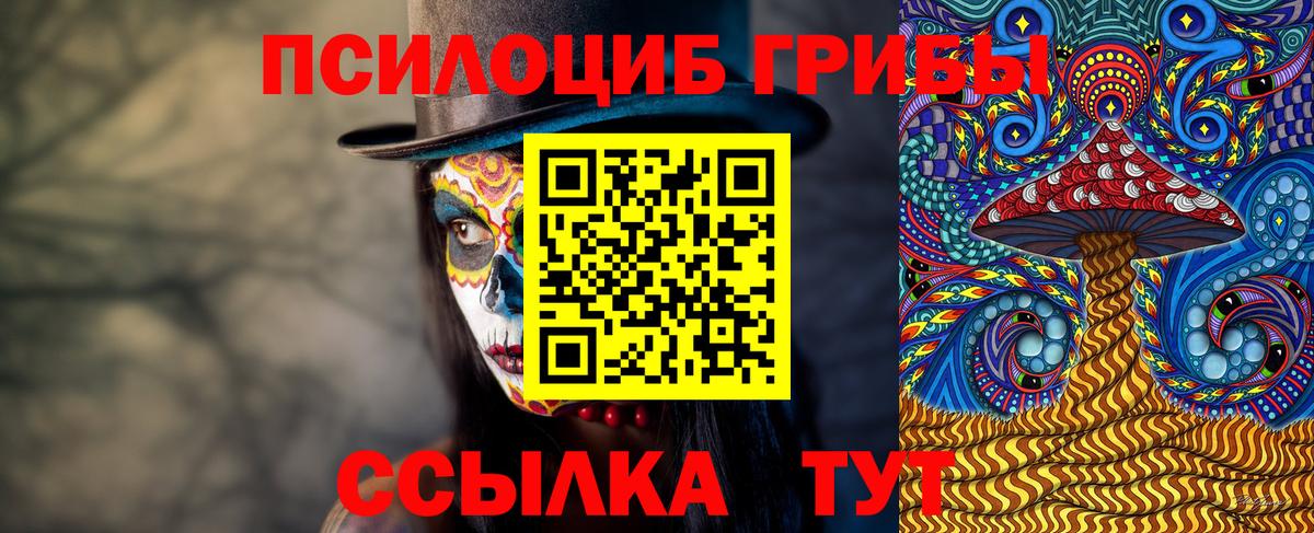 Псилоцибиновые грибы Psilocybine cubensis  Вход с VPN  Лабытнанги 