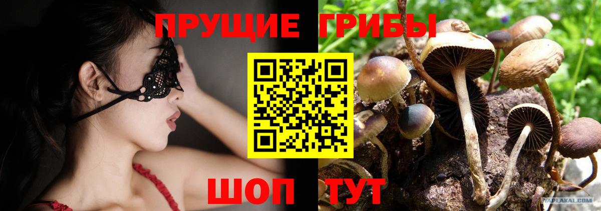 Галлюциногенные грибы ЛСД Лабытнанги